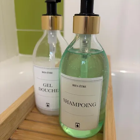 Rosalie - Hypercentre - Stationnement Facile Διαμέρισμα Τρουά